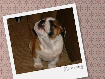 Dirty Paws Mobile Dog Grooming — photo from their website