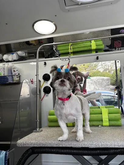 Furry Land Reno — photo from their website