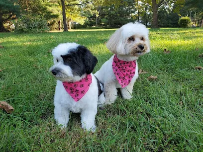 Best in Show Mobile Grooming, LLC — photo from their website