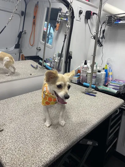Furry Land Knoxville — photo from their website