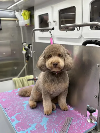 Noble Paws Mobile Grooming Spa — photo from their website