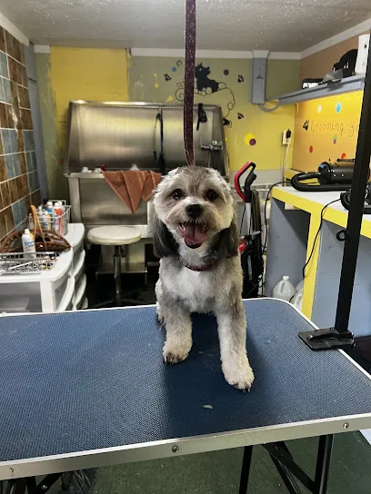 R&J DOG WASH MOBILE SERVICE — photo from their website