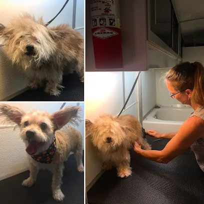 Rover's Arizona Mobile Grooming and Pet Care — photo from their website