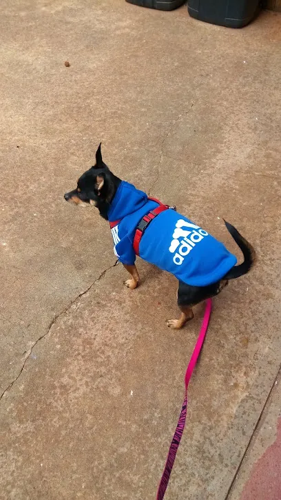Pat-N-Pets Mobile Pet Grooming — photo from their website