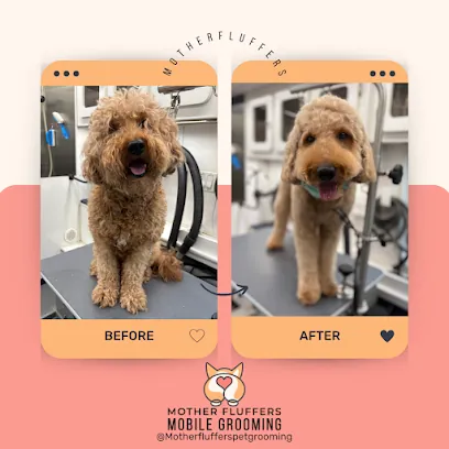Mother Fluffers Mobile Grooming — photo from their website