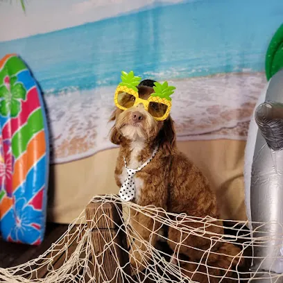 Olive my grooming to you! (NON-MOBILE) — photo from their website