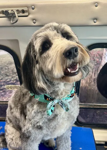 Cat&K9 Mobile Grooming — photo from their website