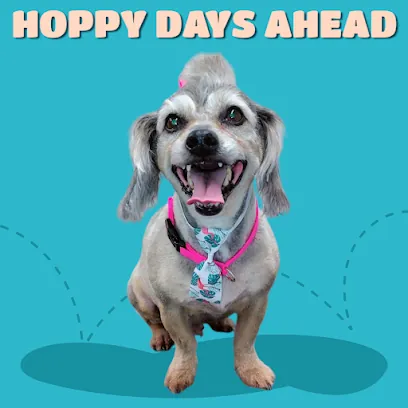 Ducky Puppies Mobile Dog Grooming — photo from their website