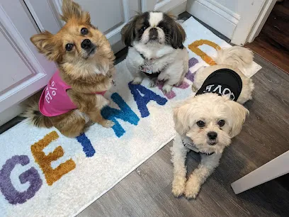 Pretti-Pet Inc Mobile Salon — photo from their website