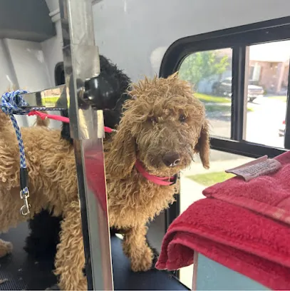 Fluffy Dogs store — photo from their website