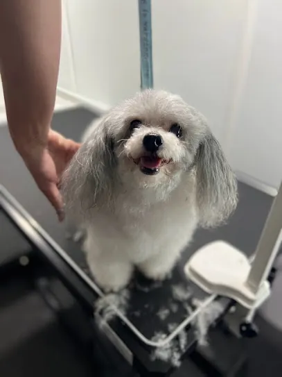 East San Fernando Mobile Pet Grooming — photo from their website