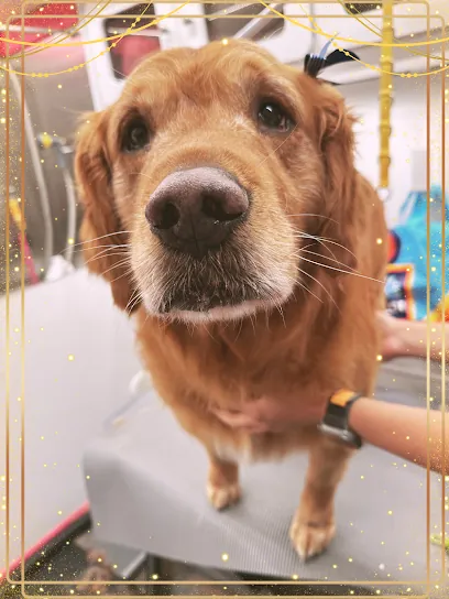 Clean Cuts Mobile Grooming — photo from their website