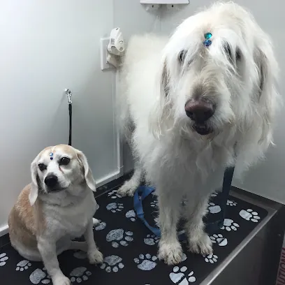 Doggie's Groom Mobile — photo from their website