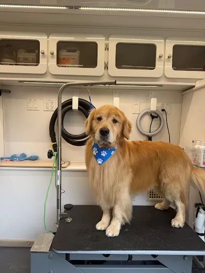 Haute Dog Mobile Grooming — photo from their website