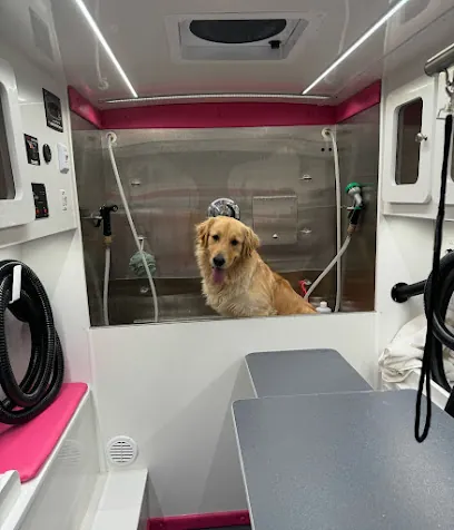 Tails and Spa Pet Mobile Grooming — photo from their website