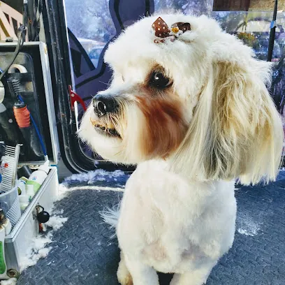 Dog Washer Mobile Pet Grooming — photo from their website