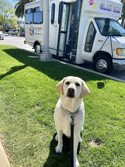 SAN DOGGIE Mobile Grooming — photo from their website