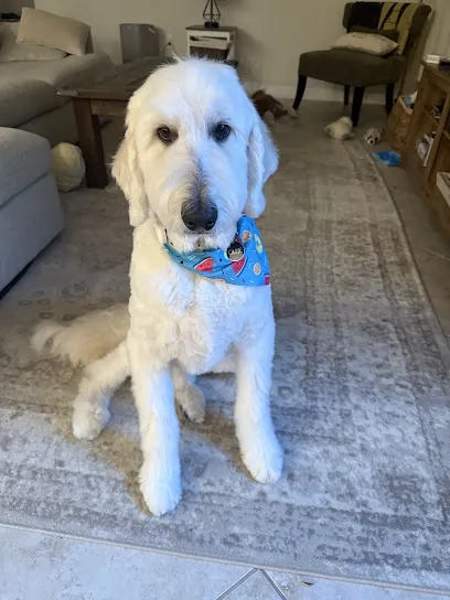 The Fluffy Club Mobile Grooming — photo from their website