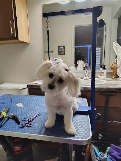 A Doggie Doo Mobile Grooming by Huddleston — photo from their website