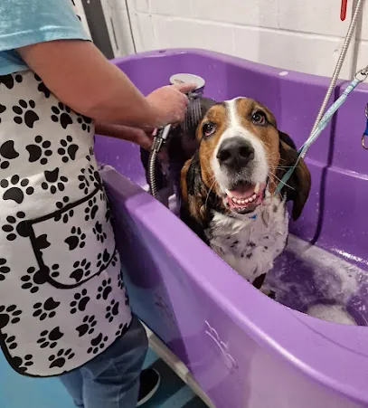 We come to you, Pet Groomer — photo from their website