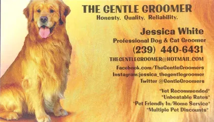 The Gentle Groomer (Mobile Cat & Dog Grooming) — photo from their website
