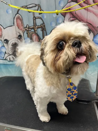 Doggie Styling Mobile dog grooming — photo from their website