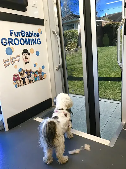 FurBabies Mobile Grooming — photo from their website