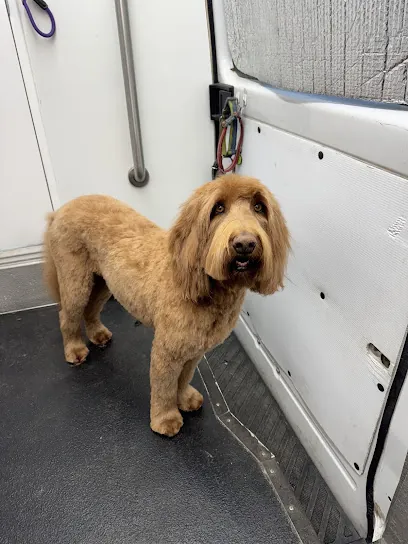Pooch Paradise Mobile Dog Grooming — photo from their website