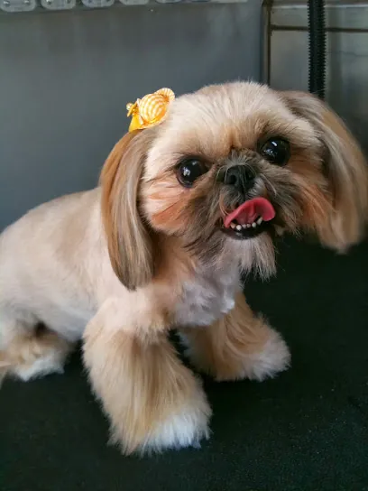 Mobile Grooming Table — photo from their website