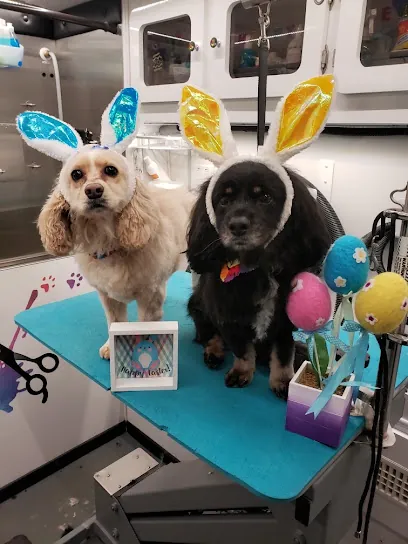 Simply DifFURent Mobile Grooming — photo from their website