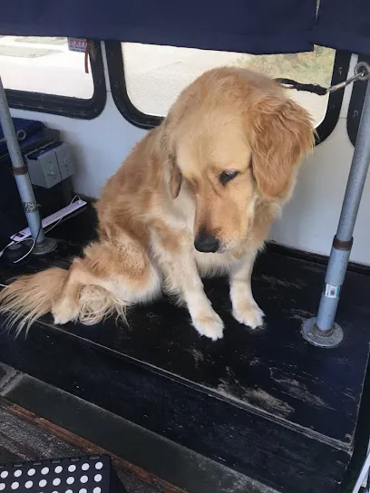 ABC Mobile Dog Grooming — photo from their website