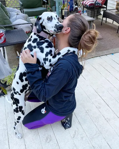 Perfect Paws House Calls — photo from their website