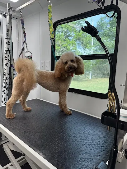 Classy Cuts Doggy Grooming LLC. - Mobile groomer — photo from their website