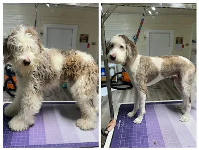 Dog Gone Gorgeous Mobile Pet Spa — photo from their website