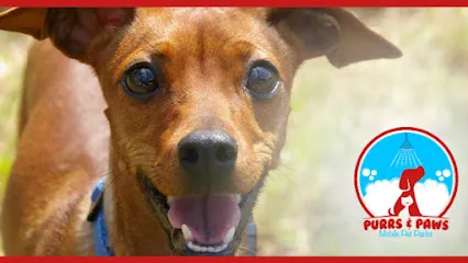 Doggy Stylz Mobile Pet Spa — photo from their website