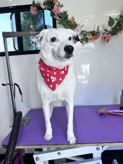 Cherry Pup Mobile Dog Grooming — photo from their website