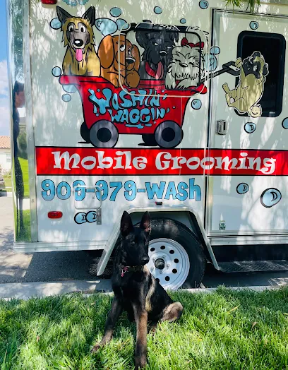 Washin' Waggin' Mobile Grooming — photo from their website