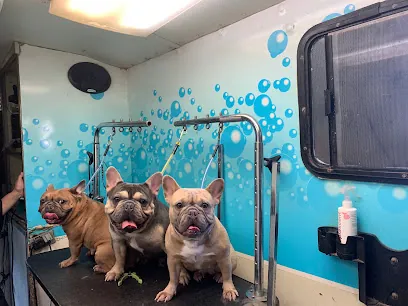 K-9 MOBILE DOG GROOMING — photo from their website