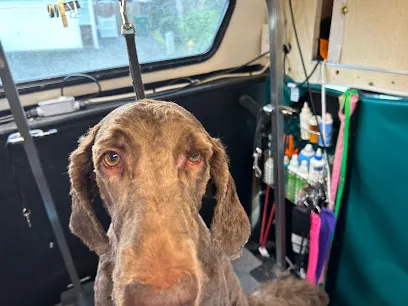 Kat’s All Breed Mobile Grooming — photo from their website