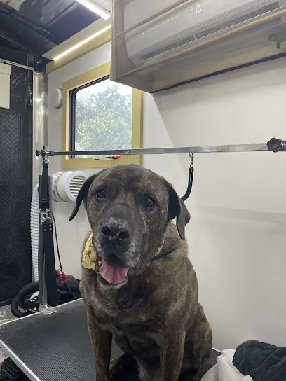Barking Paws Mobile Dog Spa — photo from their website