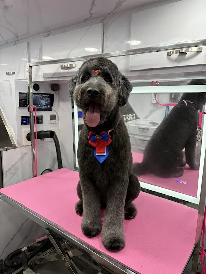 All Fur Love Mobile Pet Grooming — photo from their website