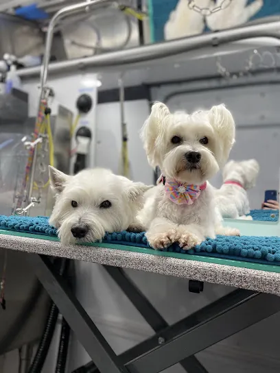 Go Fetch Mobile Grooming — photo from their website