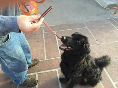 Scratch Me No More In Home Dog Nail Care — photo from their website