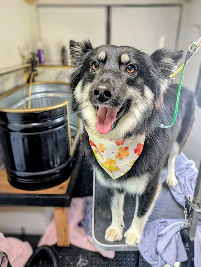 The Hot Mess Express Mobile Dog Grooming — photo from their website