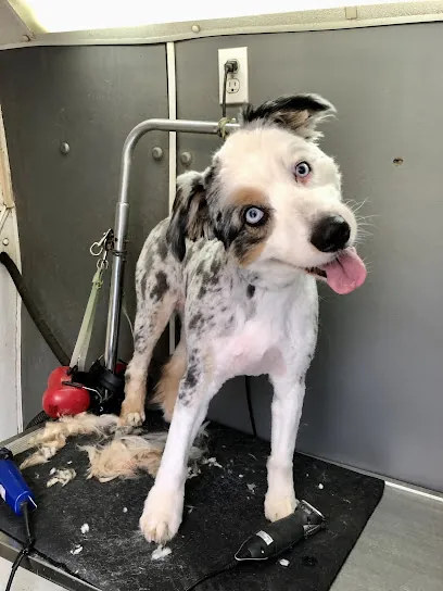 Naturally Shear Heaven Mobile Pet Grooming — photo from their website