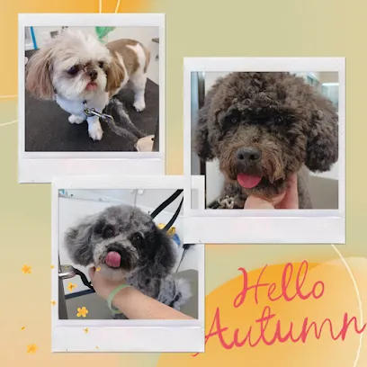 Bark and Bloom mobile pet grooming LLC — photo from their website