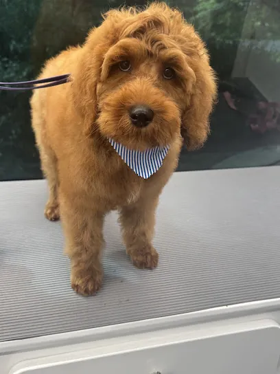 Retreat Pet Spaw Mobile Grooming — photo from their website