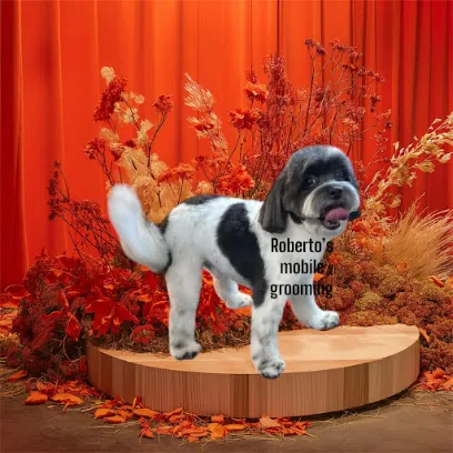 Robertos Dog Grooming Mobile — photo from their website