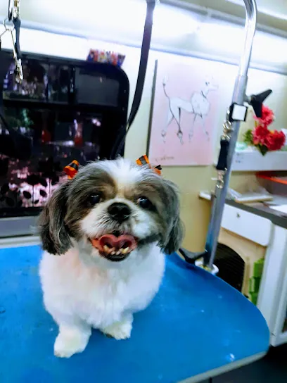 Love on a leash mobile dog grooming — photo from their website
