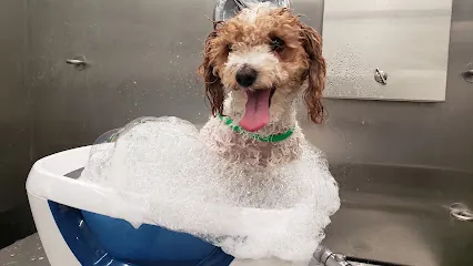 Emerald Pet Beauty LLC Mobile Grooming — photo from their website